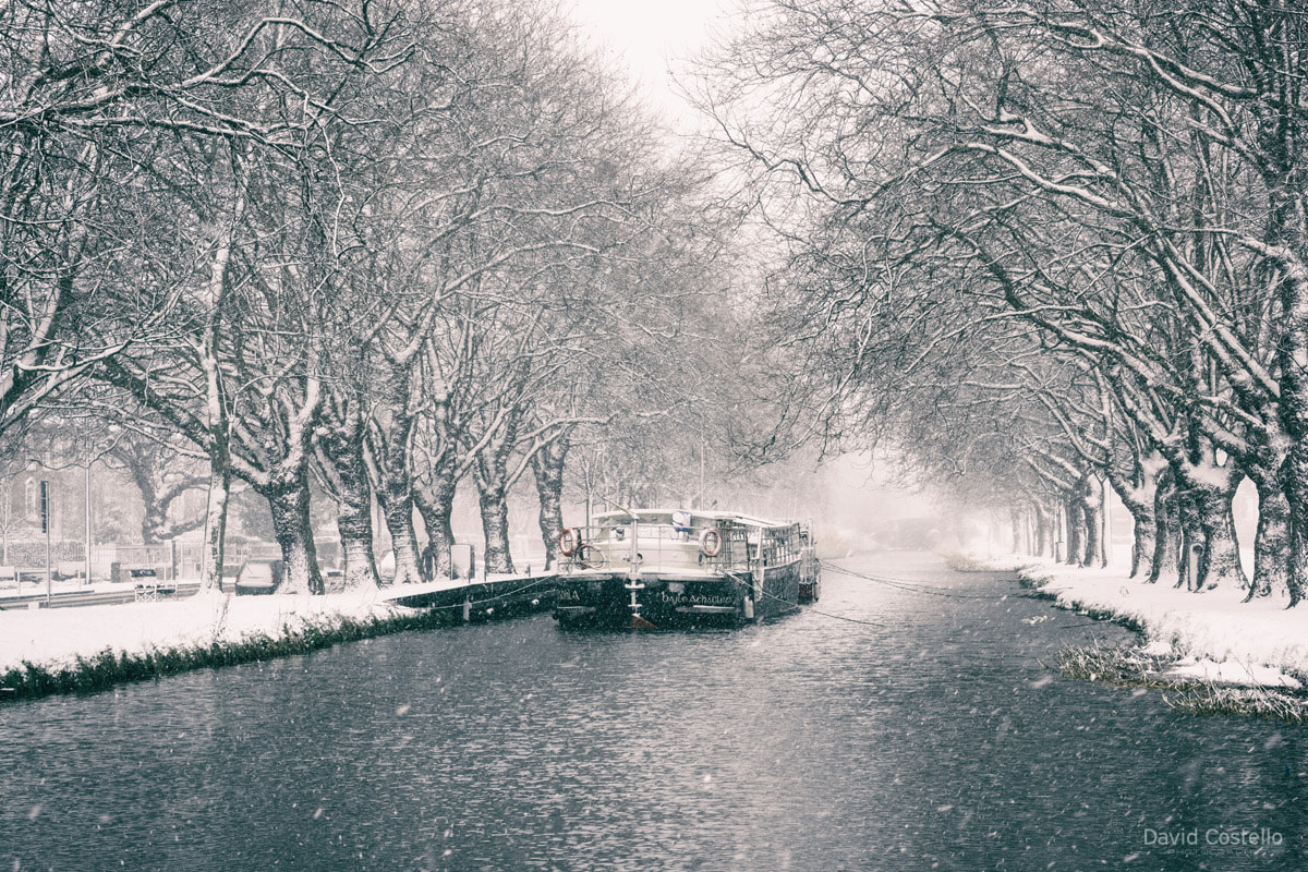 Snow along the Grand Canal - Dublin Print - David Costello