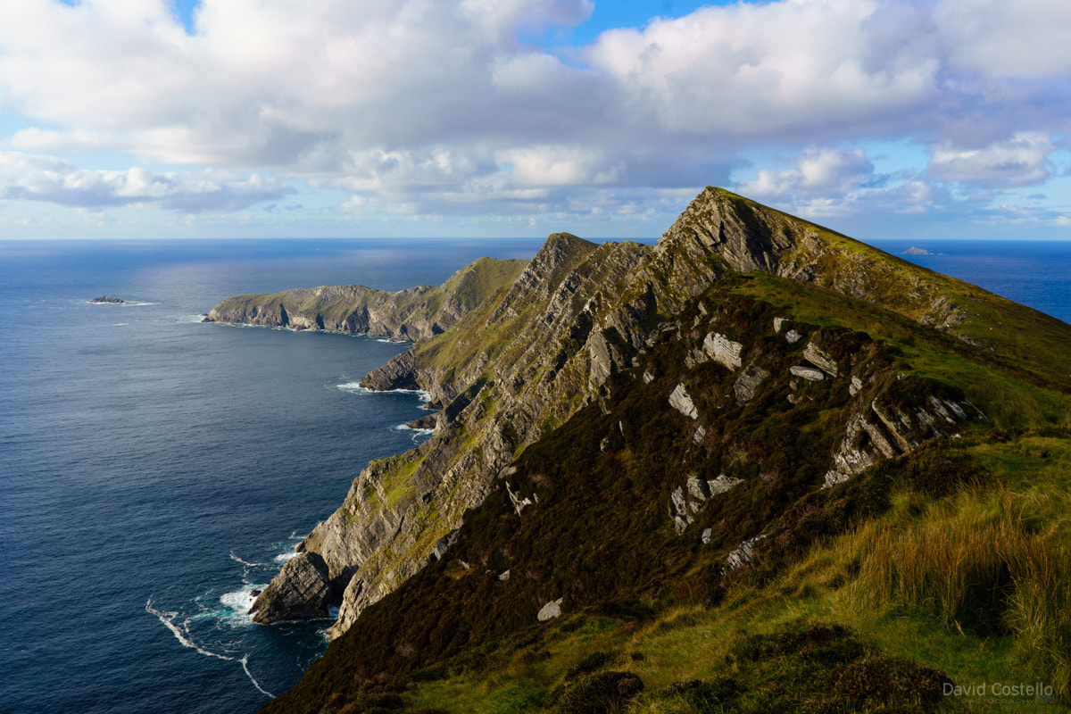 The Sea Cliffs on Achill Island extending out and slowly fall away into the sea in this colour print.