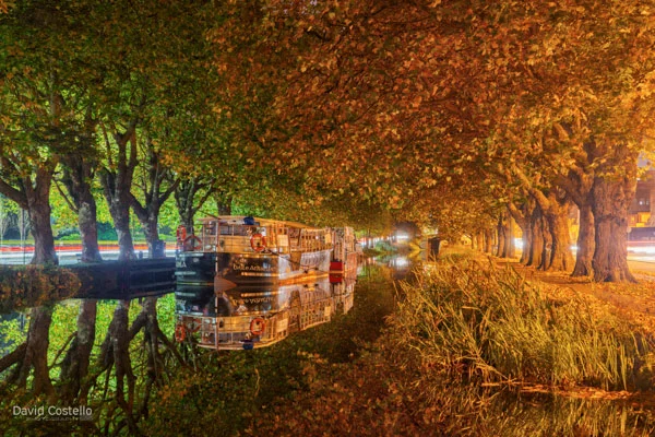 Autumnal trees reflect on The Grand Canal as two barges sit on the perfectly still water.