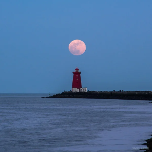 The Full Moon rising above the Poolbeg Lighthouse.